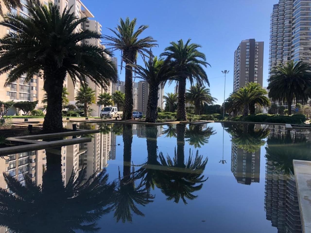 Apartamento Nuevo Y Acogedor Departamento En Concon. Concón
